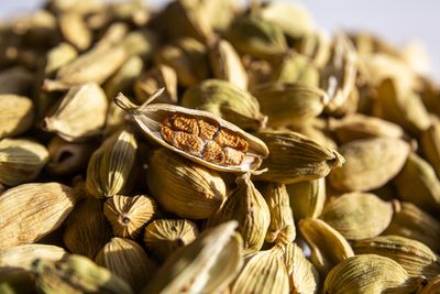 Cardamom, the spice you're missing