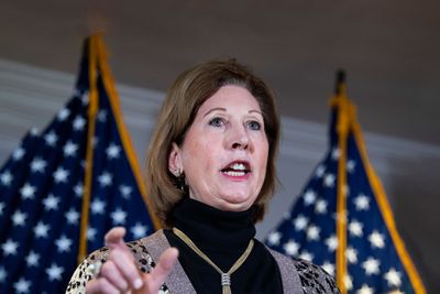 FBI raid gives Sidney Powell an encore