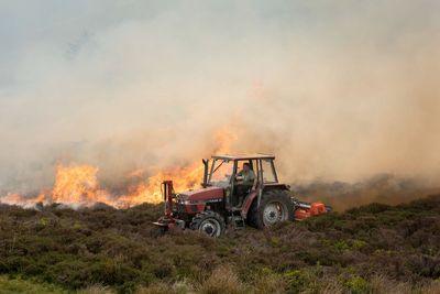 Drought in Wales as record-breaking heatwaves spark wildfires