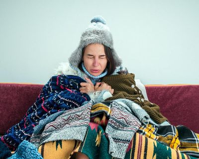Could I endure a frigid Canberra winter? Not in my wildest, electric dreams
