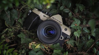 The compact camera trend is bleeding into mirrorless. Nine out of the top ten models in Japan are smaller crop-sensor bodies