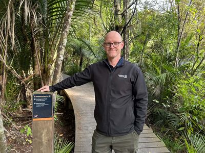 Reopened Auckland tracks draw the crowds