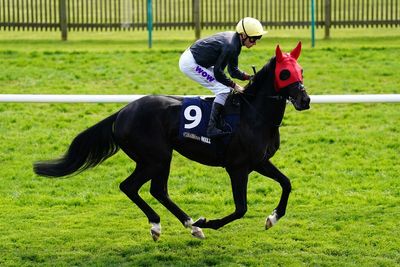 Friday’s racing tips: Best bets and odds for Ascot and York