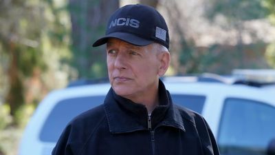 NCIS Co-Creator Reveals The Mark Harmon Prediction His Wife Made Early On (And She Was So Right)