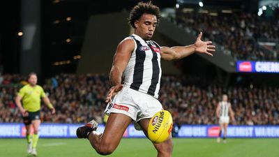 'Crossed the line': Crows boss slams fans who booed Pie