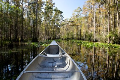The Okefenokee swamp is poised to become a World Heritage Site but some locals aren’t celebrating
