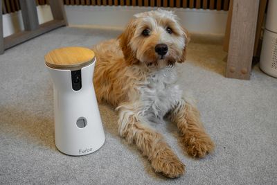 My cockapoo approves of the Furbo – but is it really worth it?