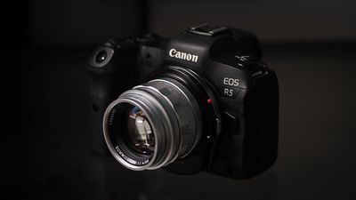 Megadap M2RF review: Get "Leica magic" on your Canon RF camera! Use manual M lenses with full autofocus