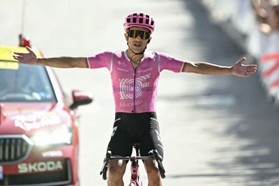 Tour de France: Richard Carapaz flies solo across the final kilometres to land stunning mountaintop victory on stage 18