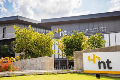 NT loss narrows as recovery drive continues