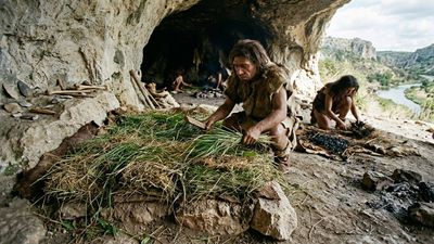 How ancient humans made their beds: 200,000-year-old grass reveals a prehistoric cleaning routine