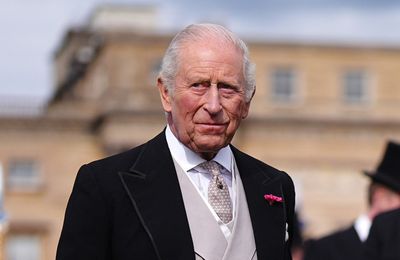 King Charles arrives at Commonwealth Games in Doctor Who's Tardis
