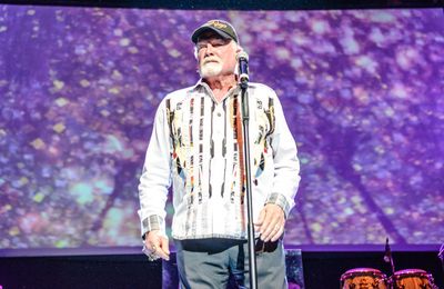 Beach Boys cancel summer shows