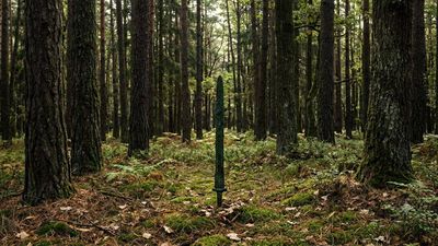 2,700-year-old sword found standing upright in a Polish forest may reveal a forgotten Bronze Age ritual