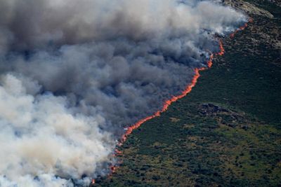 Spain declares national emergency over wildfires