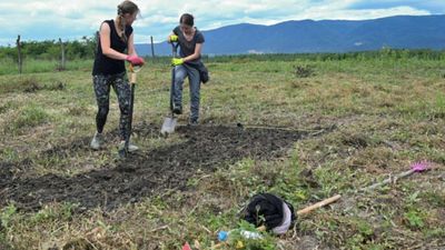 NATO-backed scientists planted 13-foot-tall giant grass on war-damaged land near Bucha, hoping its roots can help clean Ukraine's polluted soil