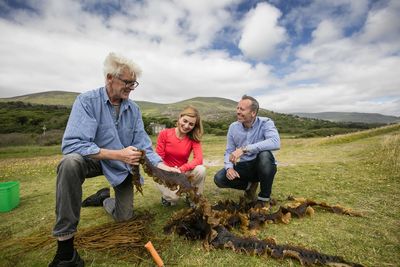 Foraging is the new food tourism