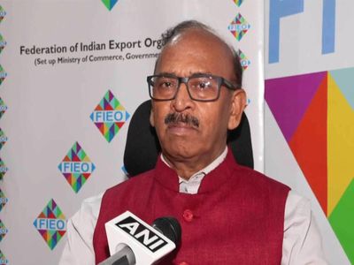 US Sec 301 tariffs unlikely to hit India's exports, textiles need close watch, says FIEO chief