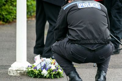When will the early prisoner release scheme review take place?