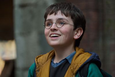 Harry Potter and the half-baked debate