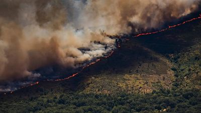 'All out of control': Spain invokes first wildfire emergency as fires rage across Europe; over 10,000 evacuated