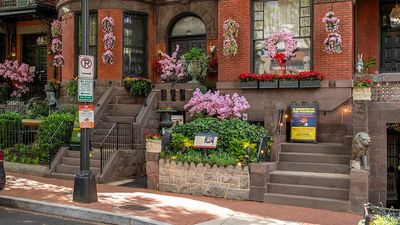 Review: The D.C. Museum Where Everything Is for Sale