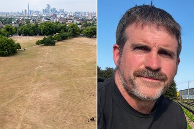 Farmer warns risk of UK drought may force him to stop growing vegetables