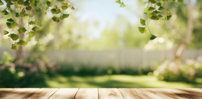 Seven climate-friendly ways to transform your home