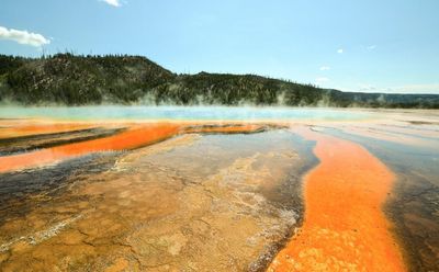 Free National Park Benefits Families Miss With a Fourth Grader
