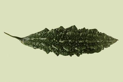 The resilience of uchche, bitter melon
