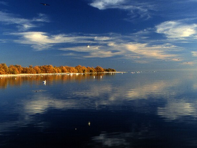 Beneath California's Salton Sea lies 3.4 million tons of lithium, potentially enough to build 375 million electric-vehicle batteries
