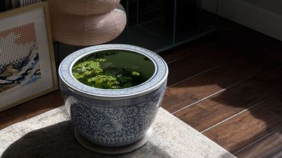 Would You Put a Pond Inside Your Home? This Might Just Be the Most Captivating Way to Subtly Cool Your Space and 'Balance Indoor Energy'