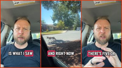 Oregon pastor visits local retirement community, says he witnessed a horrifying scene – a coyote chasing a lady with a walker