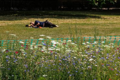 Where in the UK is going to be the hottest this weekend?