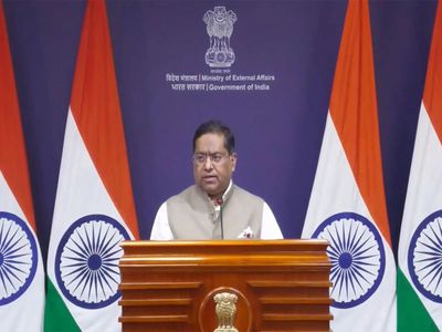 'There are Chinese projects on territories in J-K that belong to India': MEA objects to illegal occupation