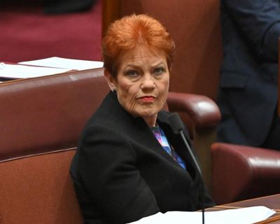 Pauline Hanson’s domestic violence comments were no stumble
