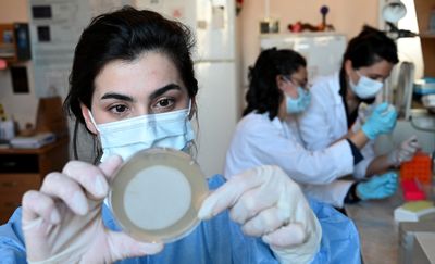 Scientists Restored the Power of Vancomycin, the Last-Resort Antibiotic Superbugs Had Already Beaten