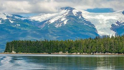 The largest national forest in the US spans 17 million acres and hides the world's biggest temperate rainforest