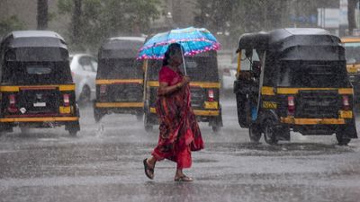 Delhi weather tomorrow: Will rain return to NCR? Check IMD forecast, temperature update