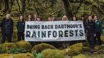 Prince William’s Duchy of Cornwall is helping double one of England’s last surviving temperate rainforests, where 1,250 young trees have already been planted
