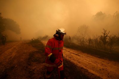 Raining ash and a tower of black smoke: Families flee ‘apocalyptic’ wildfires on the road out of Lège-Cap Ferret