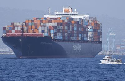Trump’s latest import taxes could set a precedent for a 'broad tariff generator' on anything a president wants to target, expert warns