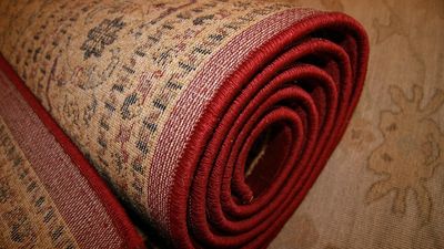 Brooklyn woman finds soggy rugs on a Bushwick sidewalk and takes them home. A week later, she was in jail, ‘sobbing’ as the police handcuffed her