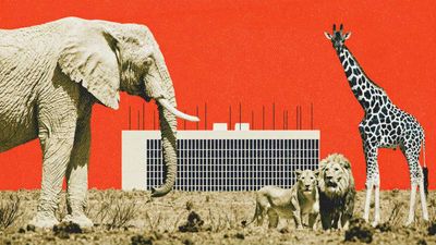 Nashville Considers Using Eminent Domain To Stop a Planned Data Center From Irritating Zoo Animals