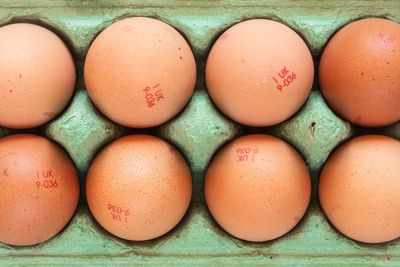 Salmonella outbreak linked to recalled eggs leaves nearly 100 people ill