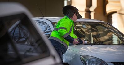 Can't find a spot? Councillors push for review to end parking headaches