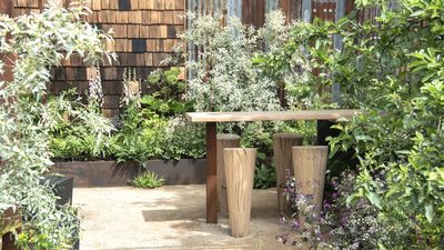 If Your Small Garden Is Looking Tired in July, Designers Say to Remove These 7 Things – It'll Feel Bigger, Fresher, and More Inviting