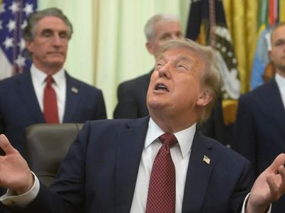 Trump tariff wall set to stay after Supreme Court blow: Analysts