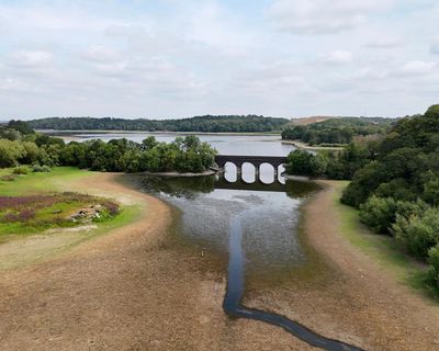 Parts of England under heat alert with 30C temperatures possible
