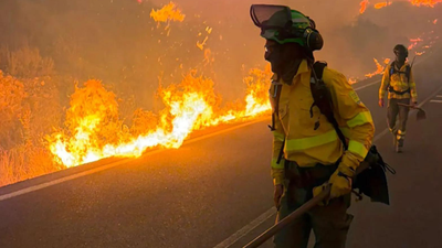 'Intense, highly unpredictable': Over 200,000 evacuated as massive wildfires engulf Spain, France